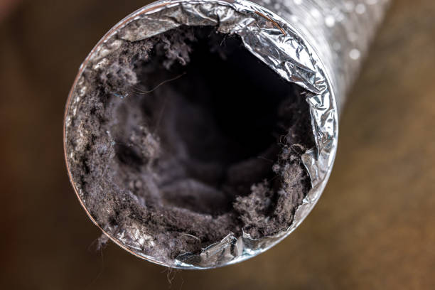 Best Air Duct Cleaning Near Me  in Ruidoso, NM